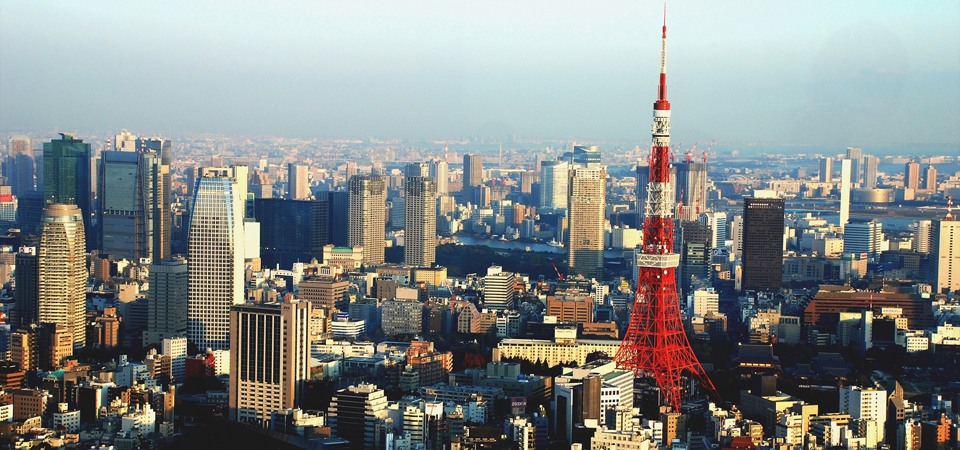 不動産業界に専念する